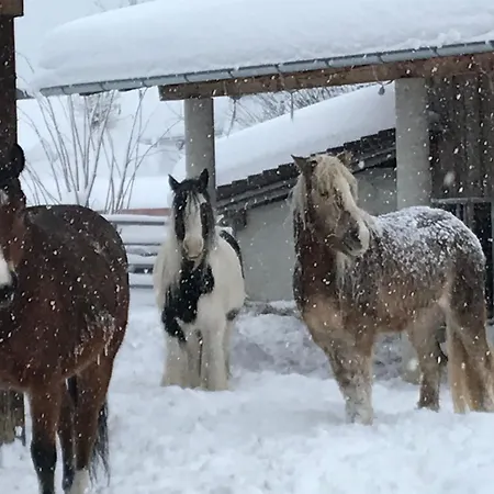 Pony-ziegen-hasen-ranch In By Interhome * 비클바흐