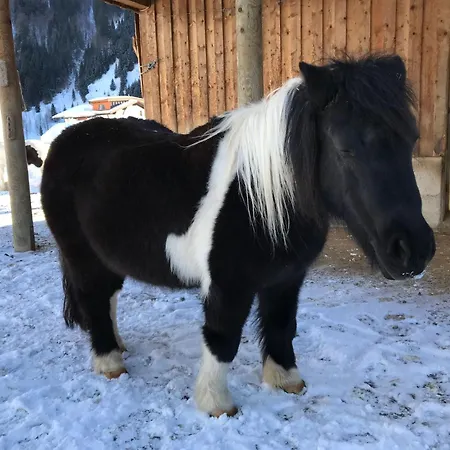 Appartement Pony-ziegen-hasen-ranch In By Interhome