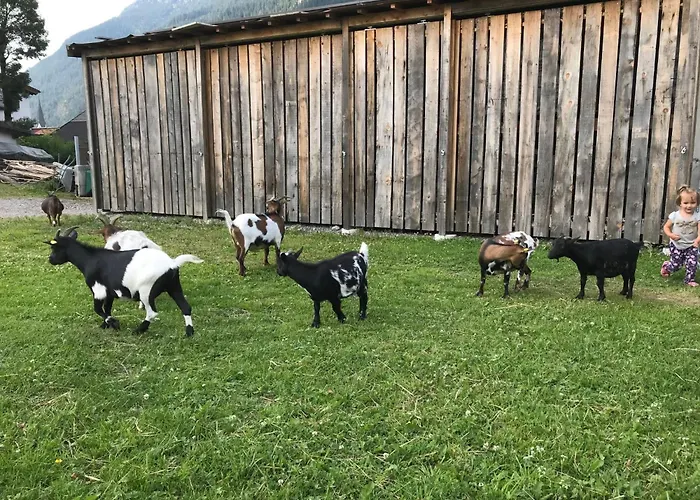 Apartment Pony-ziegen-hasen-ranch In By Interhome *