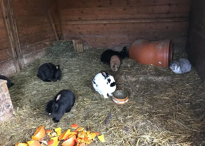 Apartment Pony-ziegen-hasen-ranch In By Interhome Bichlbach