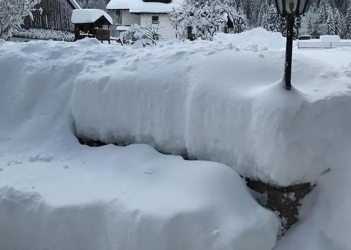 Pony-ziegen-hasen-ranch In By Interhome Apartment Bichlbach