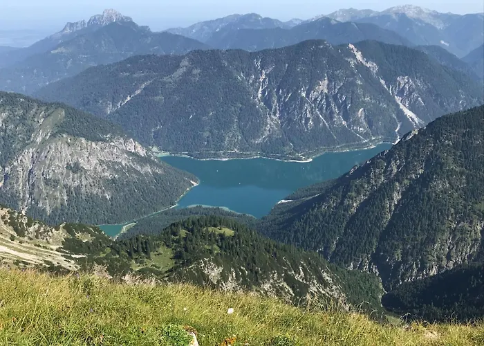 Pony-ziegen-hasen-ranch In By Interhome