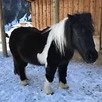 Apartmán Pony-ziegen-hasen-ranch In By Interhome